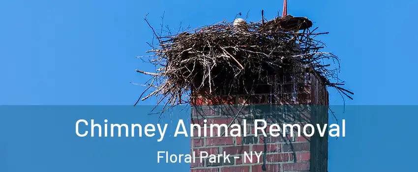 Chimney Animal Removal Floral Park - NY