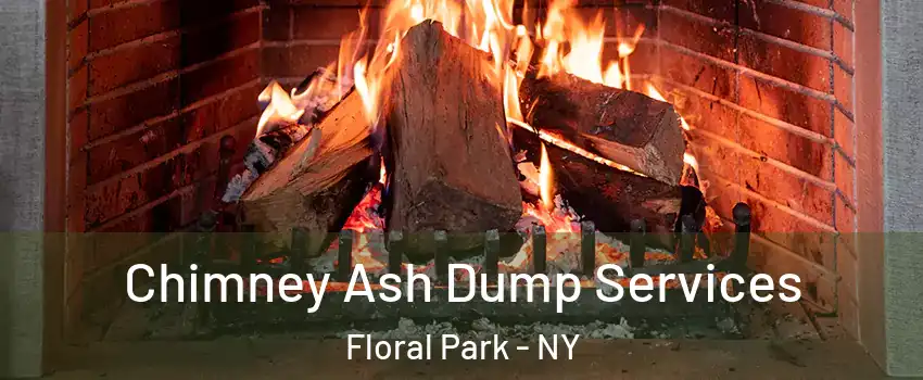  Chimney Ash Dump Services Floral Park - NY