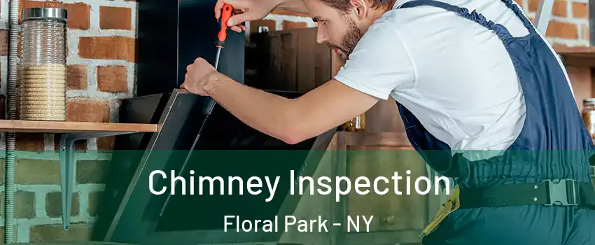 Chimney Inspection Floral Park - NY