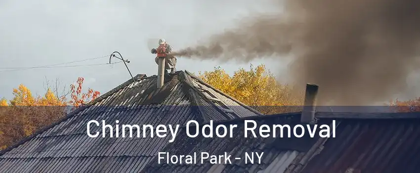  Chimney Odor Removal Floral Park - NY