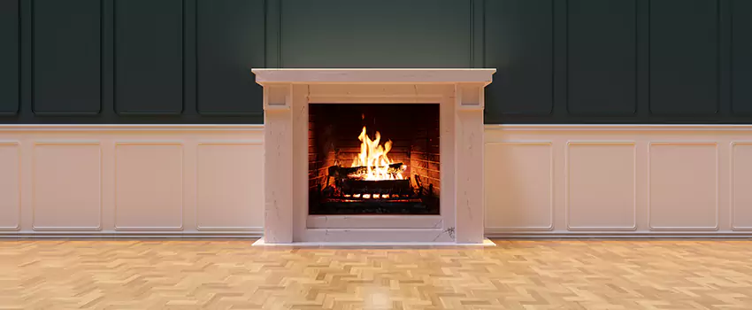 Napoleon Electric Fireplaces Inspection Service in Floral Park, New York