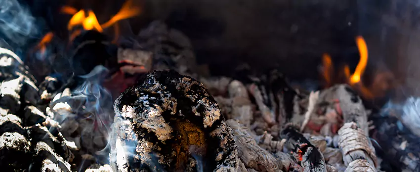 Creosote Removal Experts in Floral Park, NY