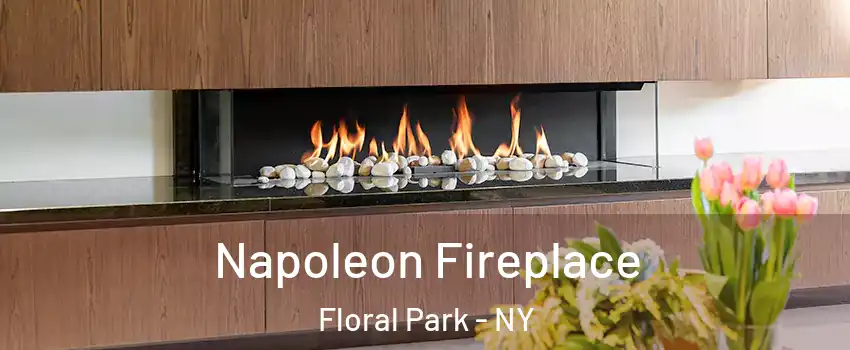  Napoleon Fireplace Floral Park - NY